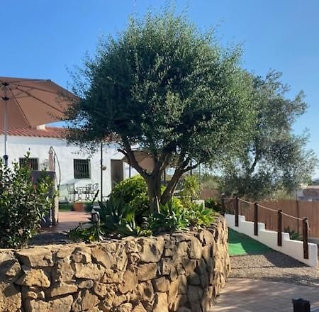 La Casa Palmera - Caminito Del Rey Pizarra Eksteriør bilde