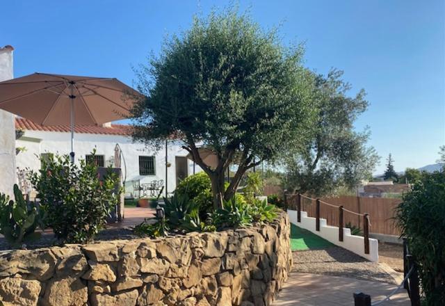 La Casa Palmera - Caminito Del Rey Pizarra Eksteriør bilde